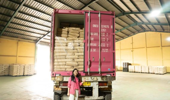 cocoa manufacturer from indonesia